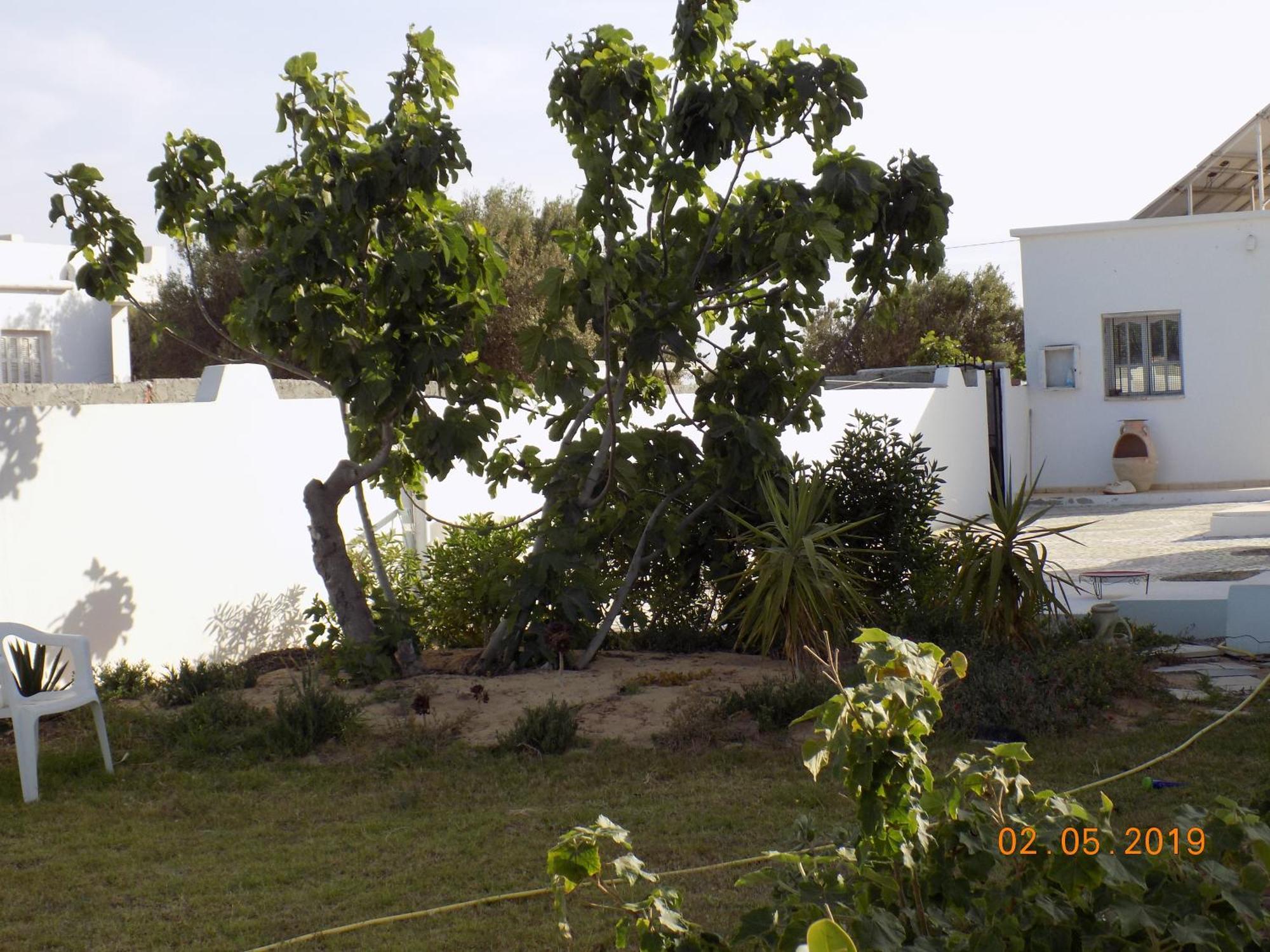 Dar Mamina Bed & Breakfast Sidi ash Shammakh Luaran gambar