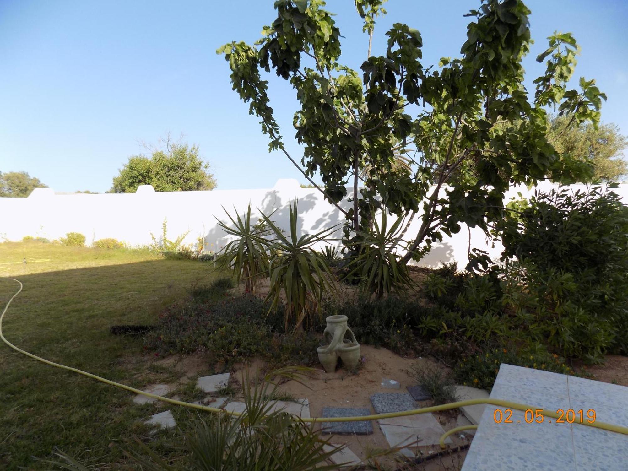 Dar Mamina Bed & Breakfast Sidi ash Shammakh Luaran gambar