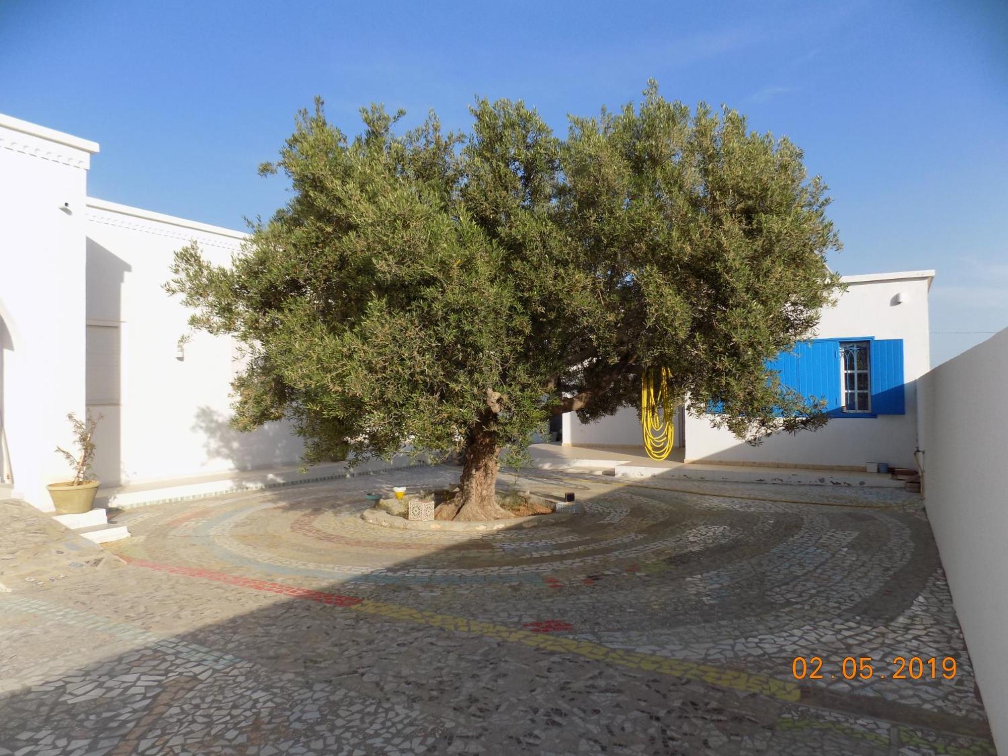 Dar Mamina Bed & Breakfast Sidi ash Shammakh Luaran gambar