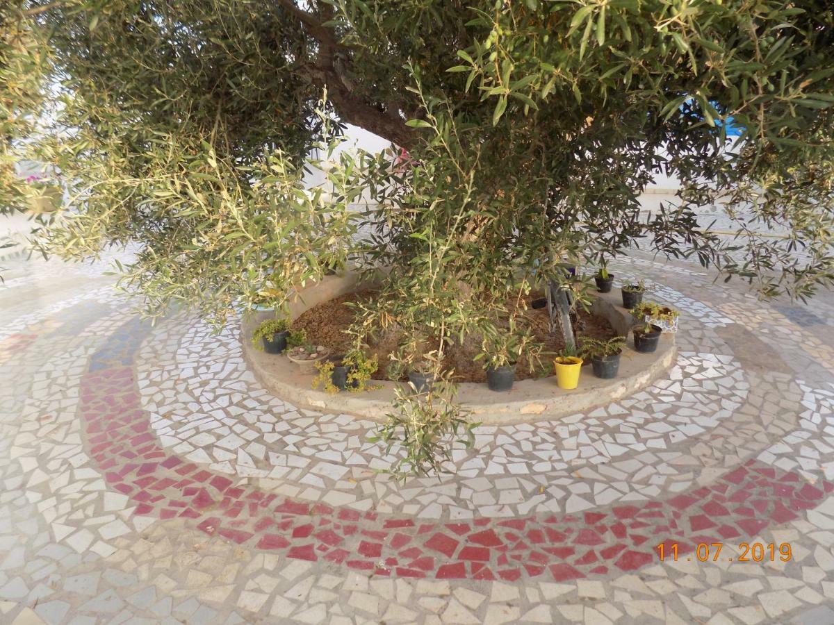 Dar Mamina Bed & Breakfast Sidi ash Shammakh Luaran gambar