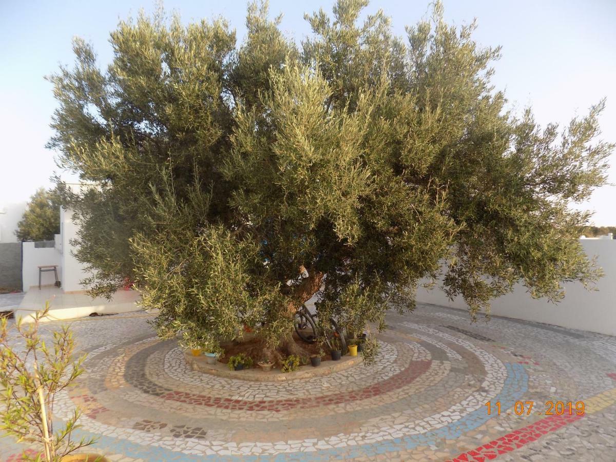 Dar Mamina Bed & Breakfast Sidi ash Shammakh Luaran gambar